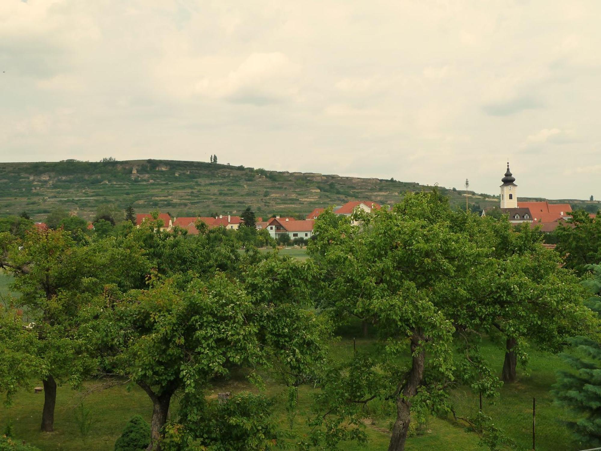 Ferienwohnung Weinbergblick Rohrendorf bei Krems Ngoại thất bức ảnh