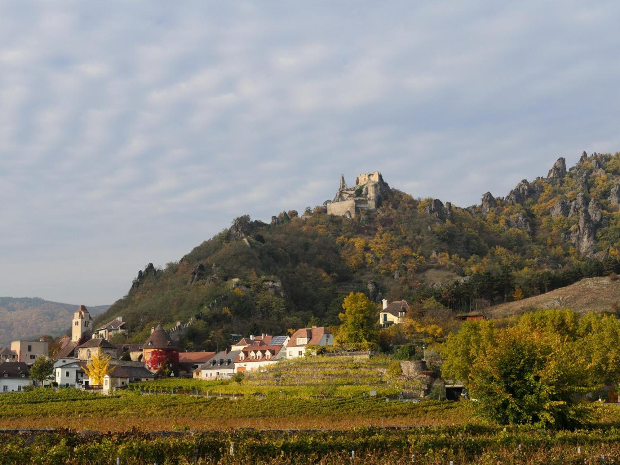 Ferienwohnung Weinbergblick Rohrendorf bei Krems Ngoại thất bức ảnh