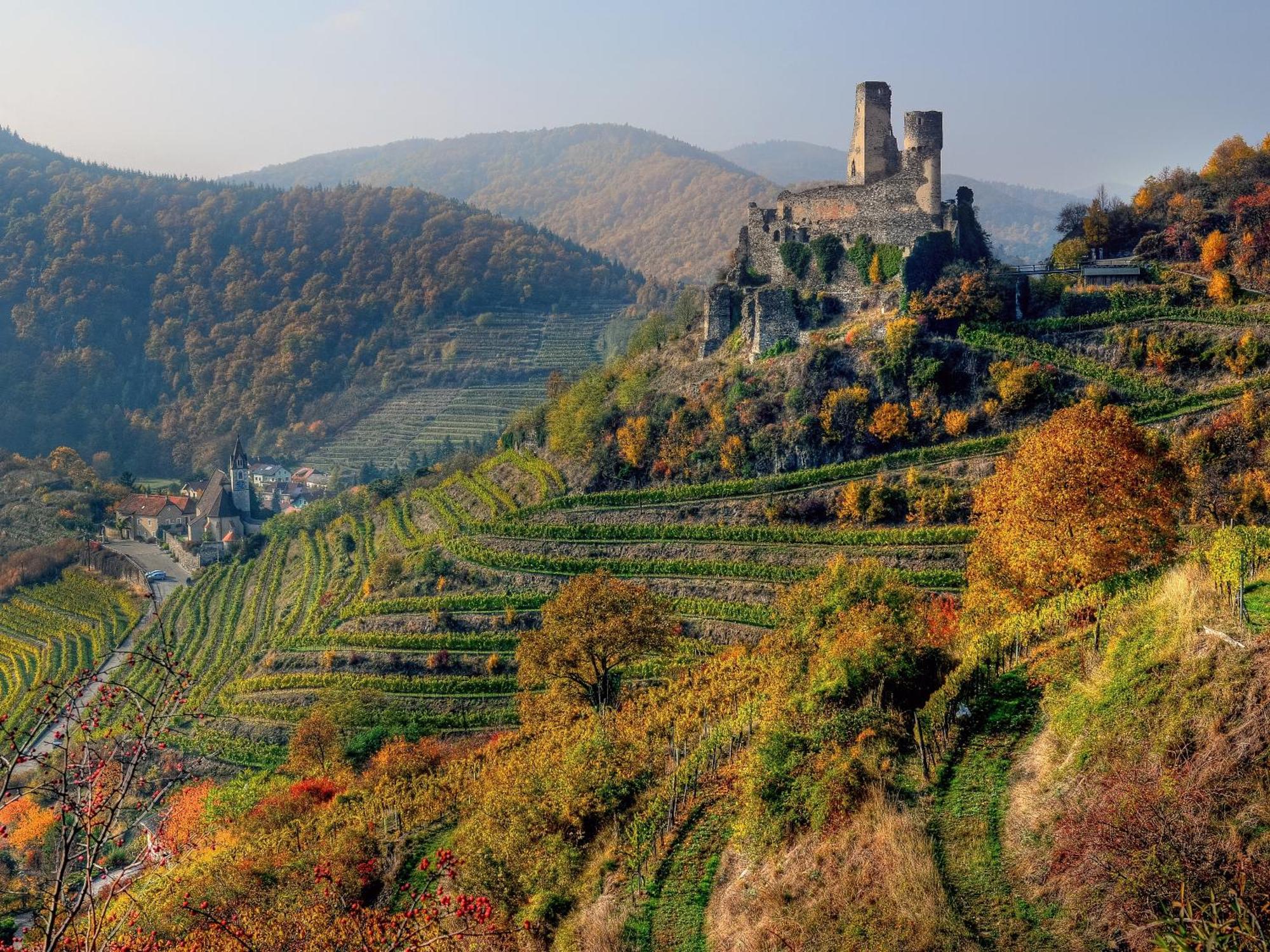 Ferienwohnung Weinbergblick Rohrendorf bei Krems Ngoại thất bức ảnh